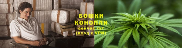 ECSTASY Остров