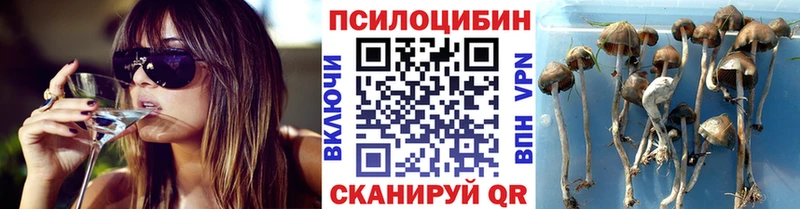 Галлюциногенные грибы Cubensis  Сальск 