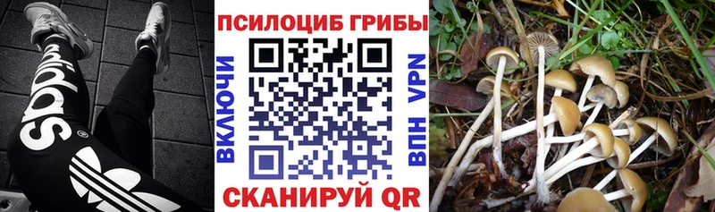 Псилоцибиновые грибы GOLDEN TEACHER Сальск